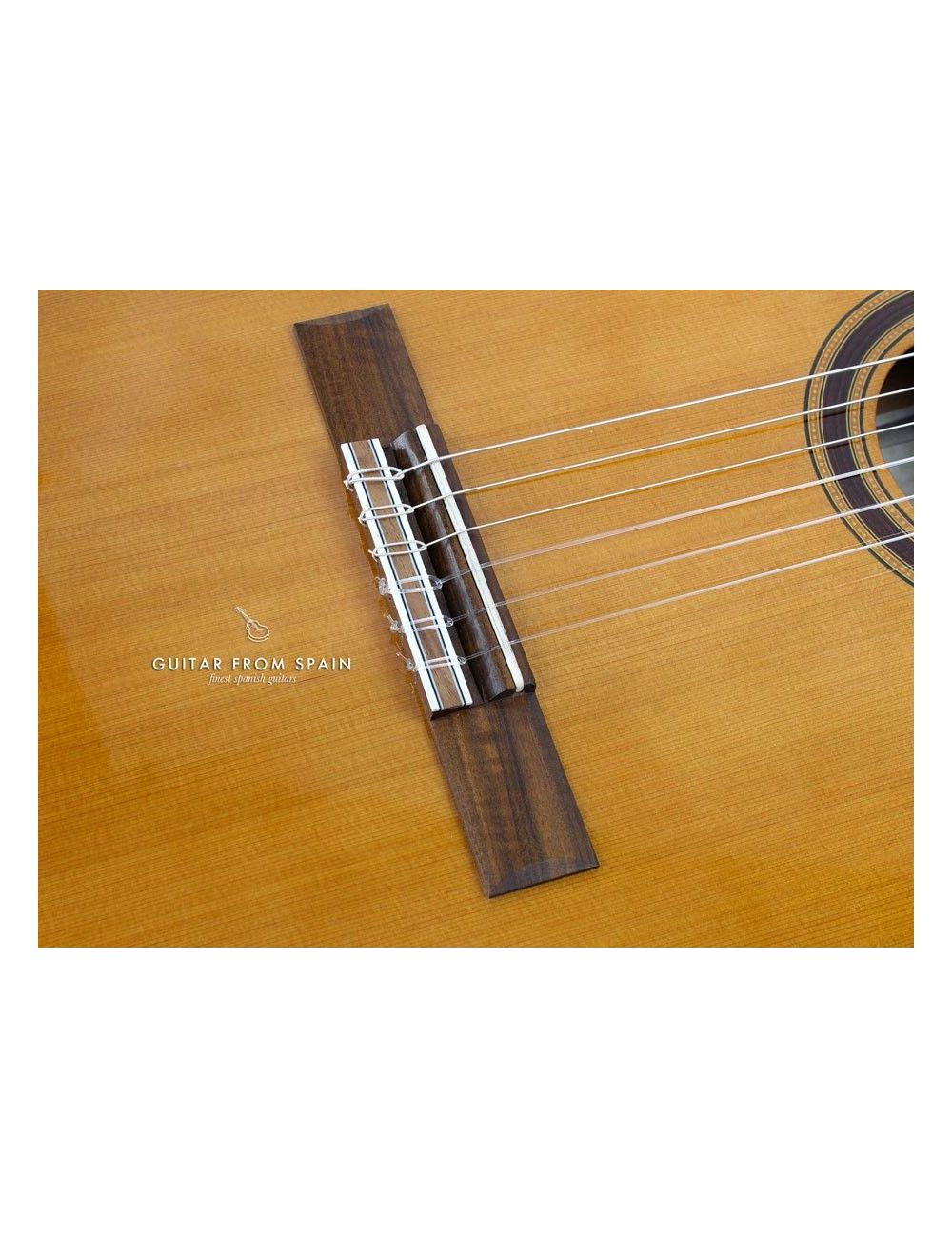 Admira MALAGA ECT CONSERVATORIO Electro-Classical guitar ADM0540ECT Thin body