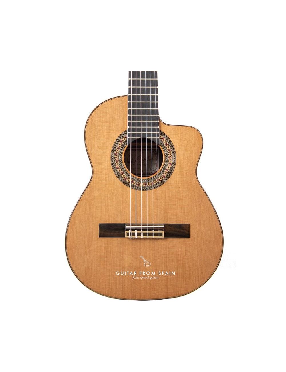 Prudencio Saez 201 Requinto Cutaway