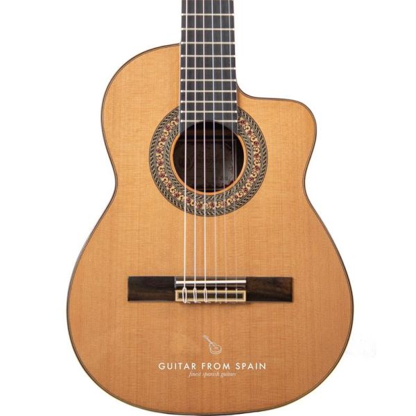 Prudencio Saez 201 Cutaway Requinto 201 Special sizes