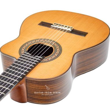 Prudencio Saez 201 Cutaway Requinto