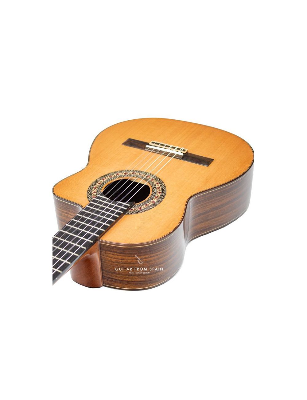 Prudencio Saez 201 Cutaway Requinto