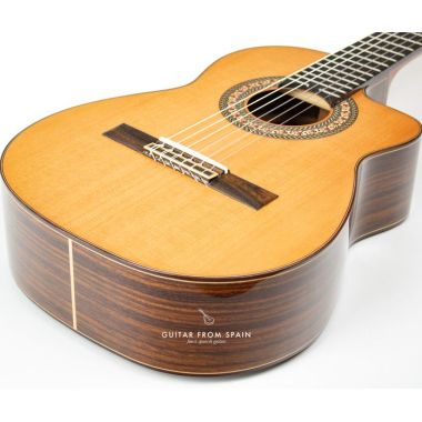 Prudencio Saez 201 Cutaway Requinto