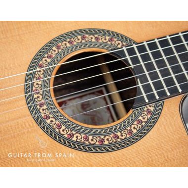 Prudencio Saez 201 Cutaway Requinto