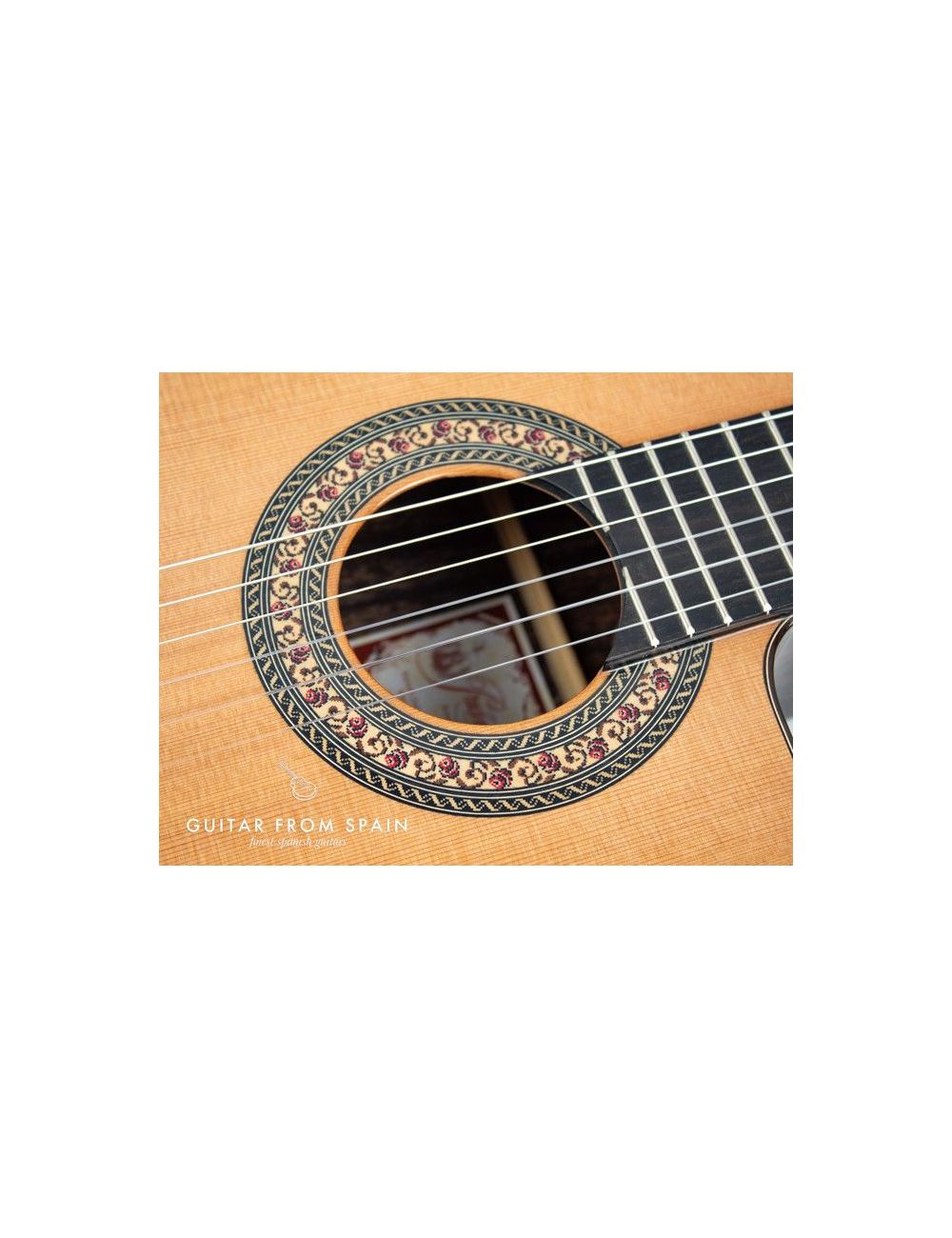 Prudencio Saez 201 Cutaway Requinto 201 Special sizes