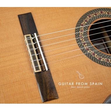 Prudencio Saez 201 Cutaway Requinto