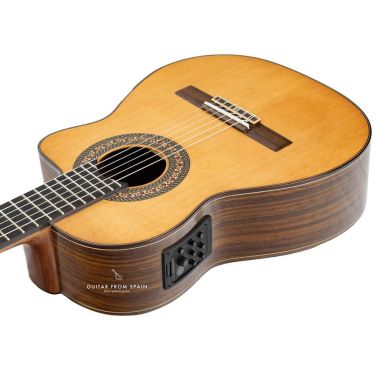 Prudencio Saez 201 Cutaway Requinto