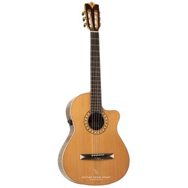 Alhambra CS3CW E8 Guitare...