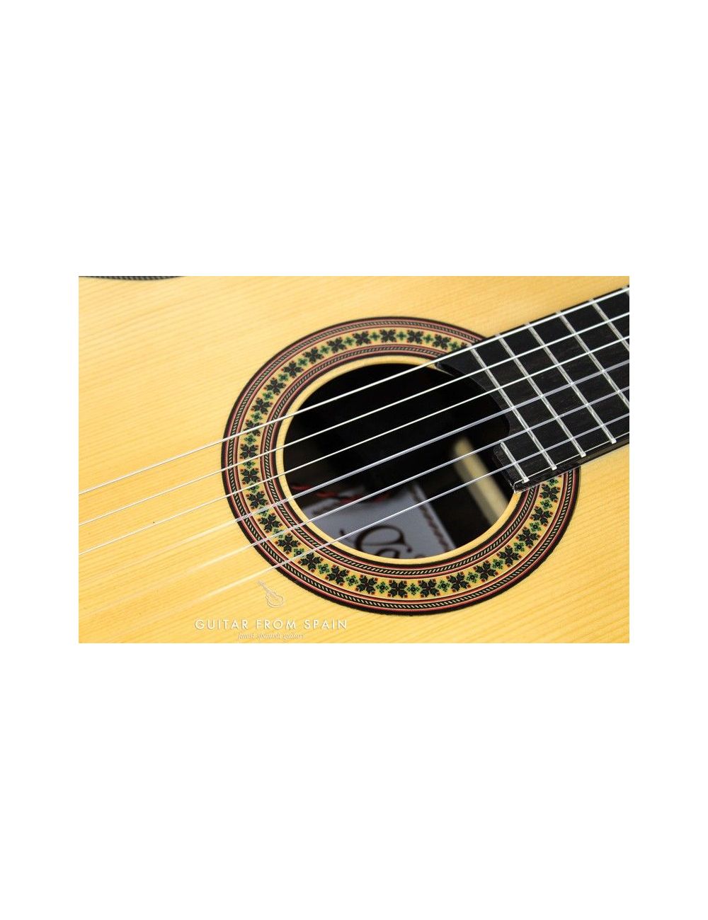 Camps CUT900 MIDI Classical Guitar CUT-900-MIDI MIDI Guitars