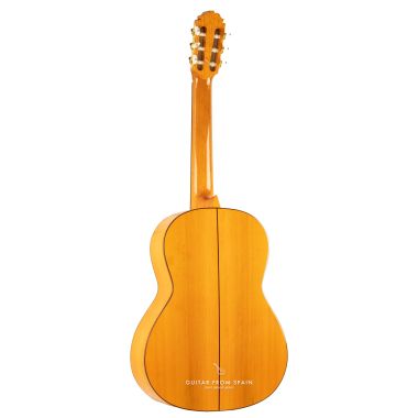 Amalio Burguet 2F Guitare...