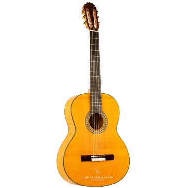 Amalio Burguet 2F Guitare...