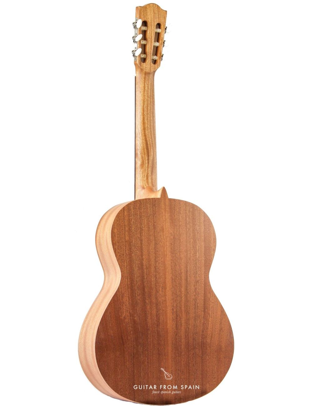 Alhambra Z-Nature Classical Guitar Z-Nature 7800 Classical Studio