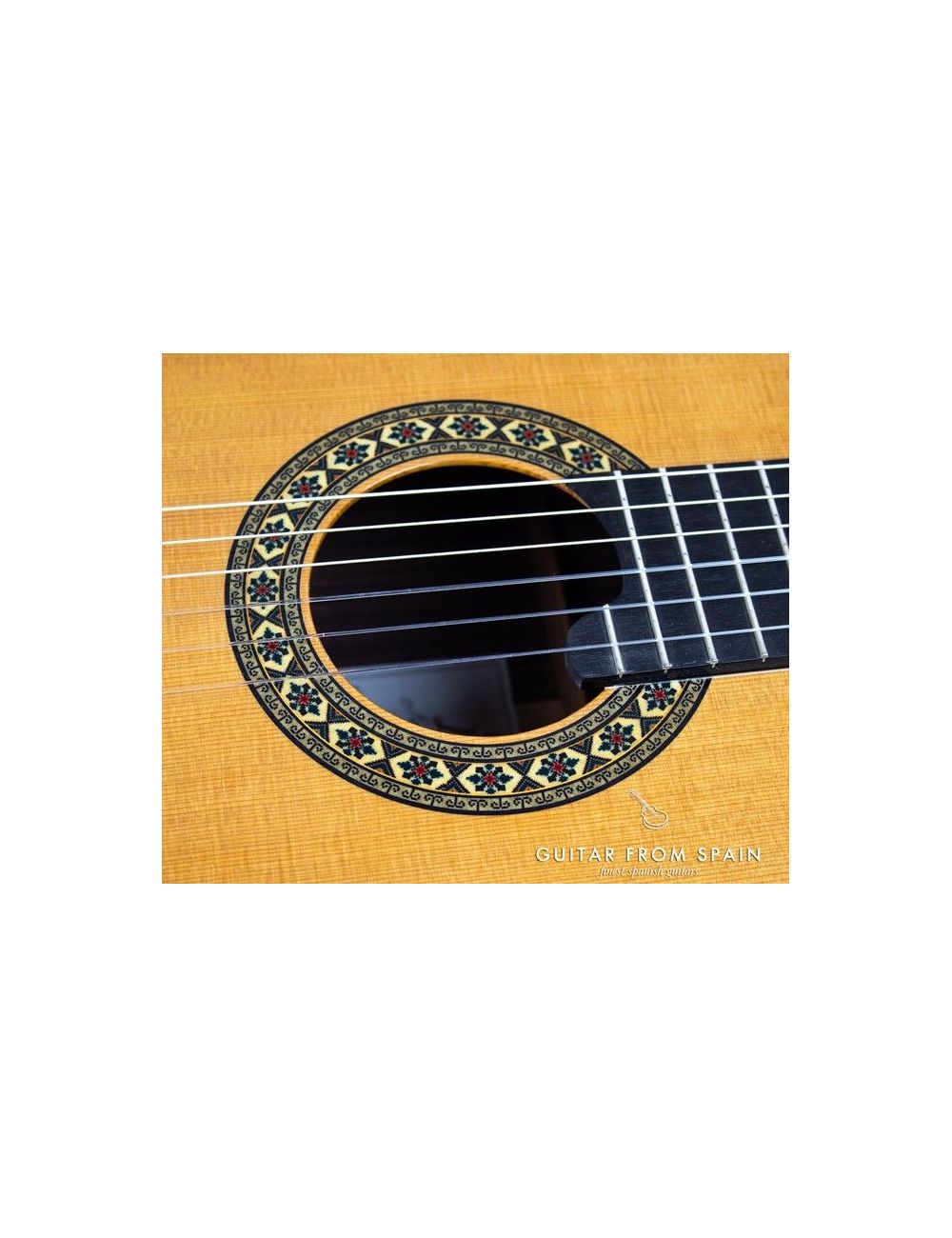 Alhambra Luthier India Montcabrer Classical guitar 297 V Premium Classical