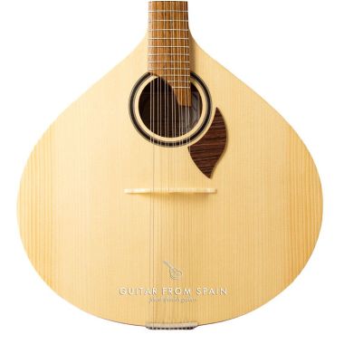 APC 305-LS Portuguese guitar APC 305-LS Other Stringed