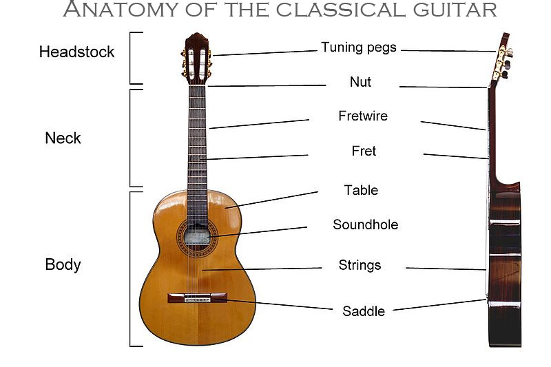 The Spanish Classical Guitar Guitar From Spain